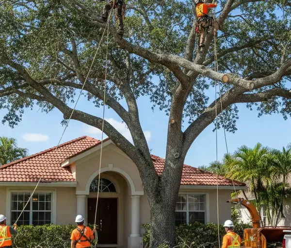 Chop Chop Tree